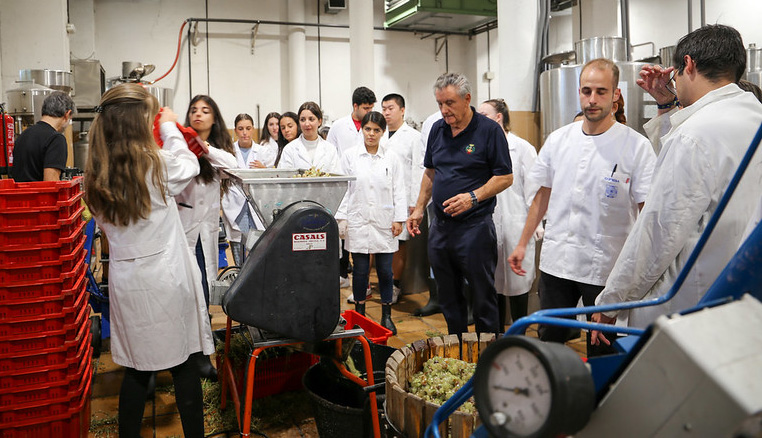 Escuela Técnica Superior de Ingeniería Agronómica Alimentaria y de